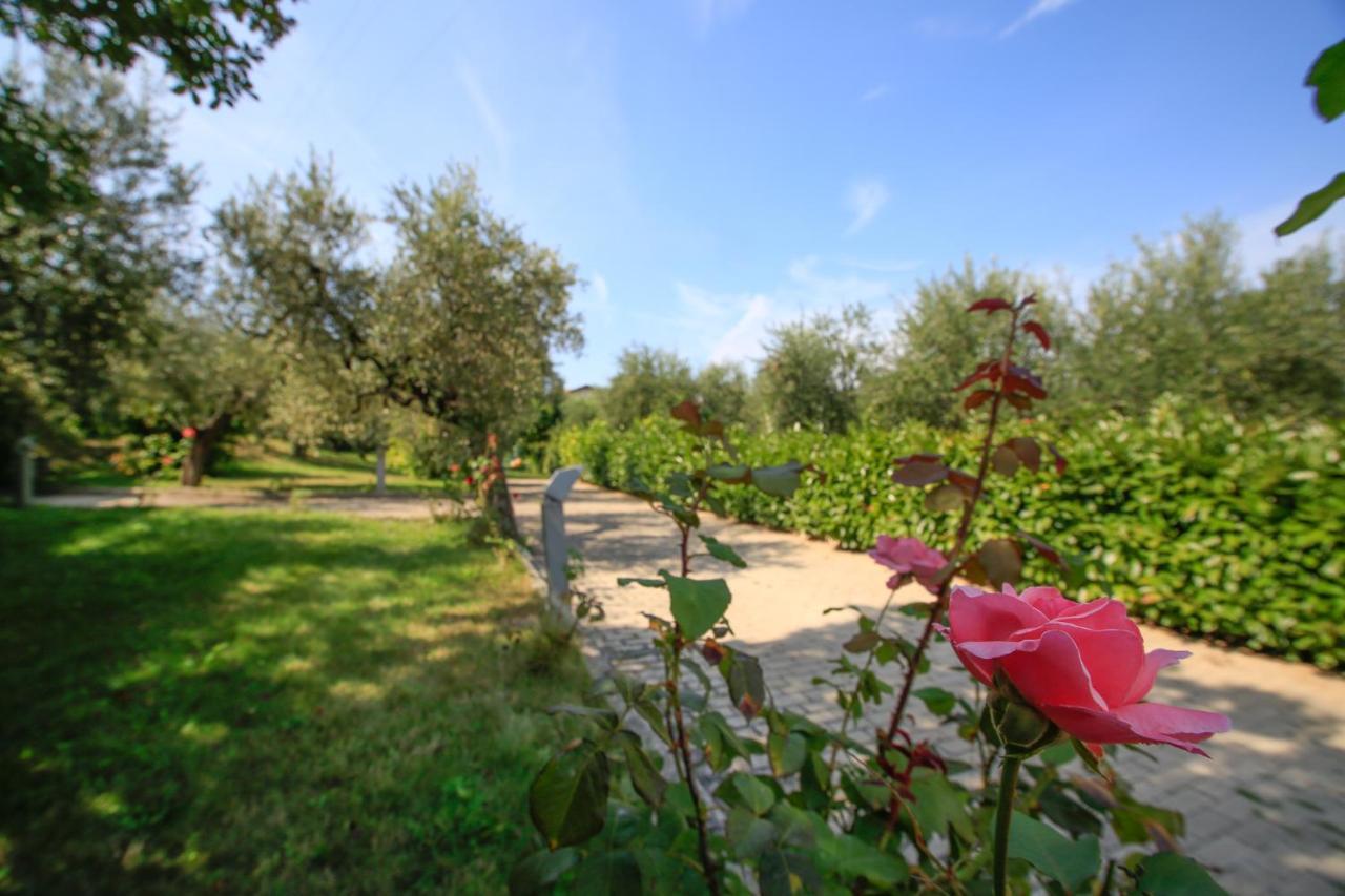 B&B Arli Torrevecchia Teatina Exterior photo